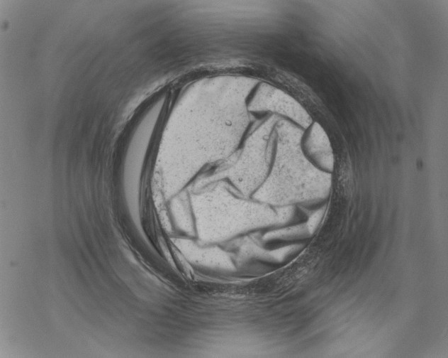 X0000068280732200605191853