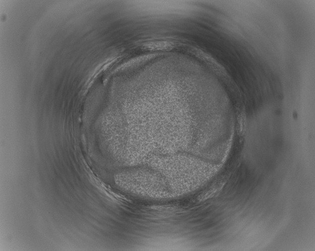 X0000068280733200605191853