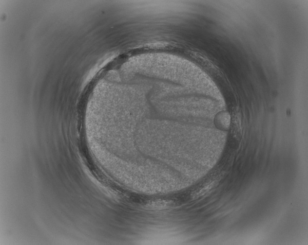 X0000068280734200605191853