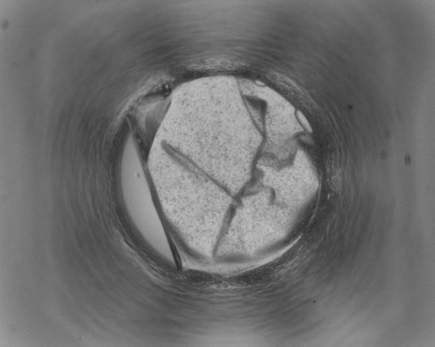 X0000068280735200605191853