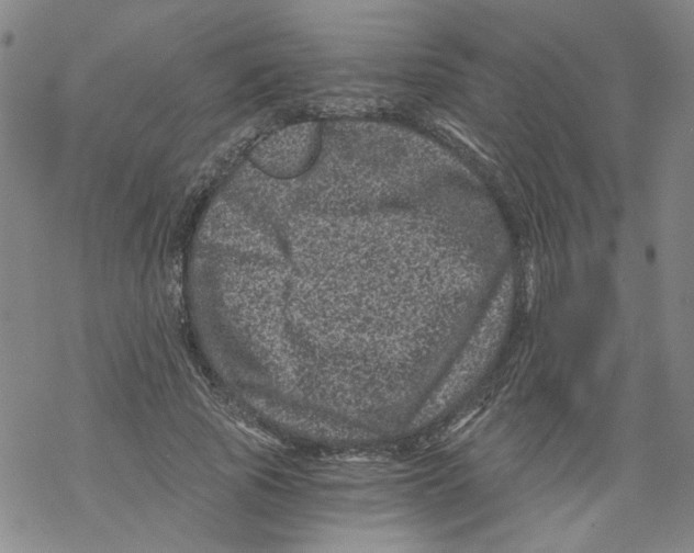 X0000068280737200605191853