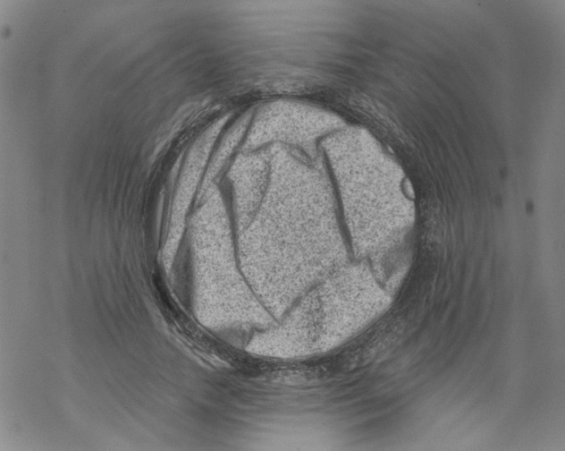 X0000068280738200605191853