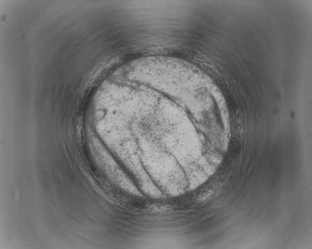 X0000068280742200605191853