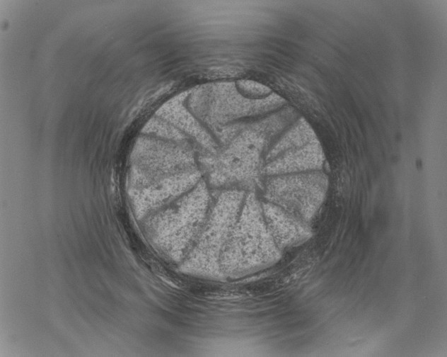 X0000068280743200605191853