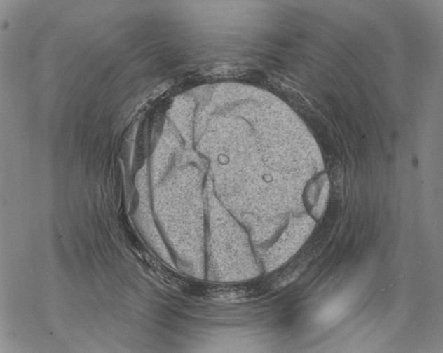 X0000068280746200605191853