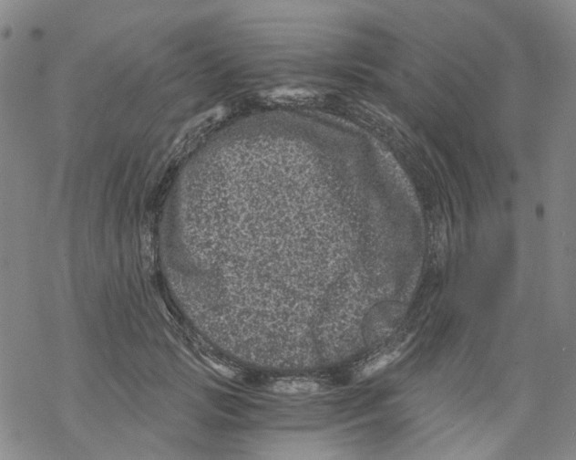 X0000068280749200605191853