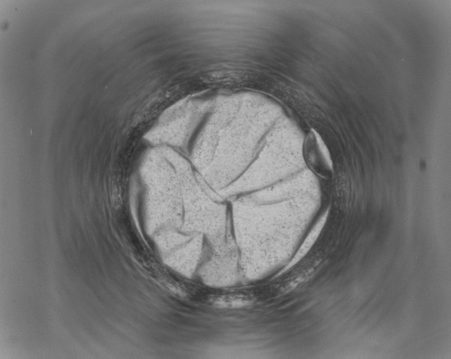 X0000068280751200605191853