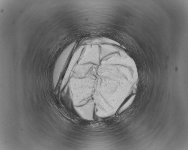 X0000068280752200605191853