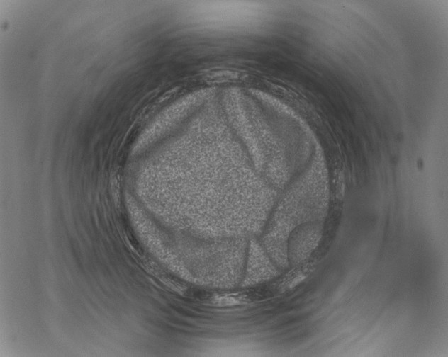 X0000068280753200605191853