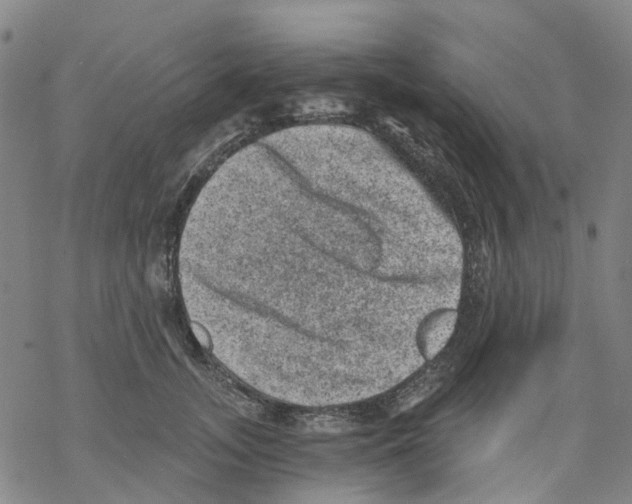 X0000068280755200605191853