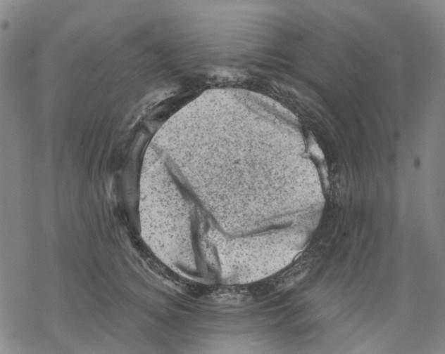 X0000068280756200605191853