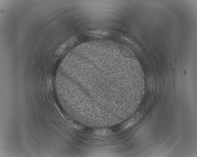 X0000068280757200605191853