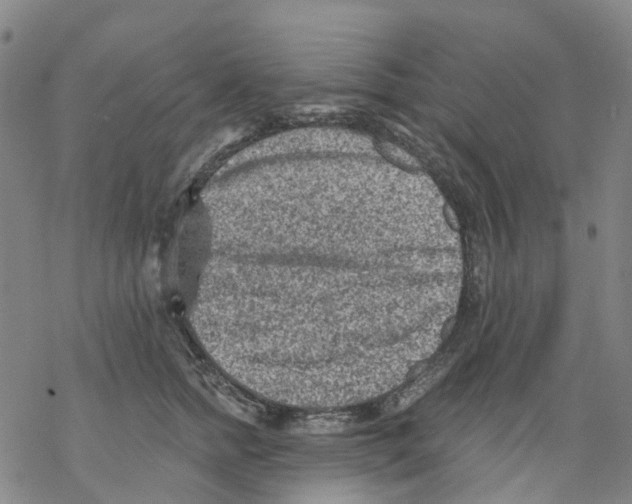 X0000068280758200605191853