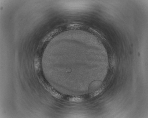 X0000068280759200605191853