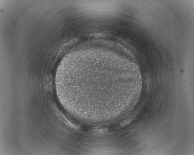 X0000068280760200605191853