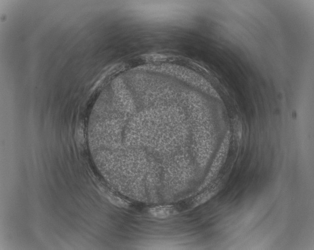 X0000068280761200605191853