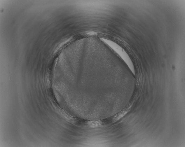 X0000068280762200605191853