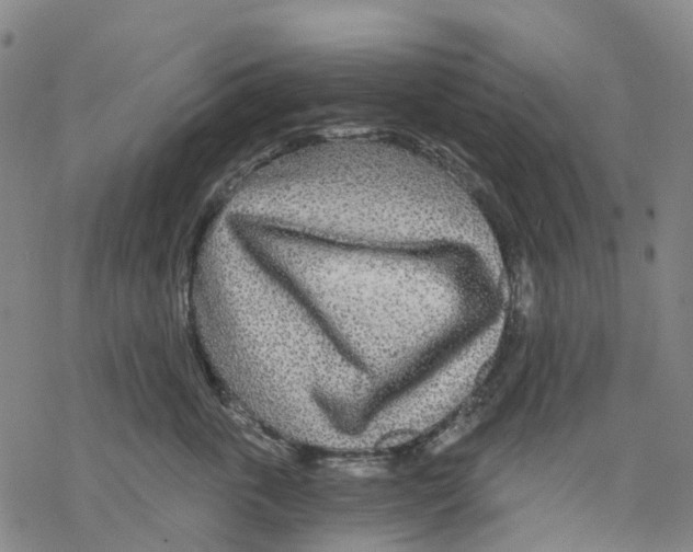 X0000068280763200605191853