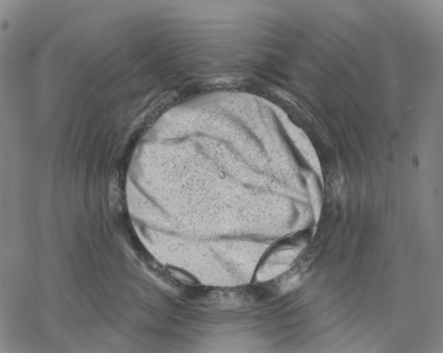 X0000068280764200605191853