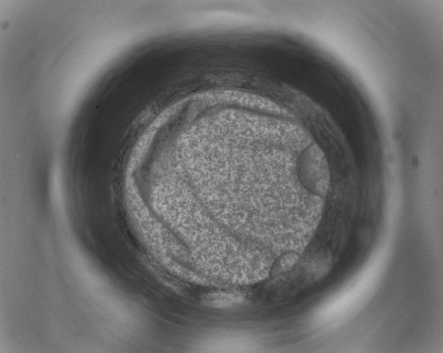 X0000068280765200605191853