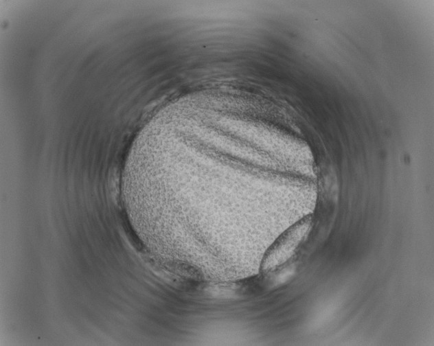 X0000068280767200605191853