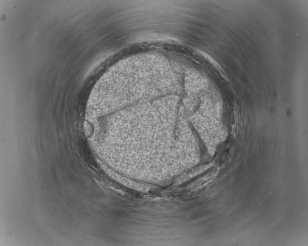 X0000068280775200605191852