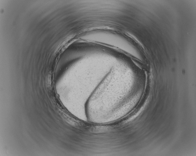 X0000068280777200605191852