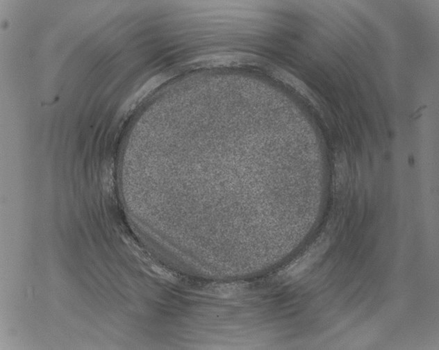 X0000068280778200605191852