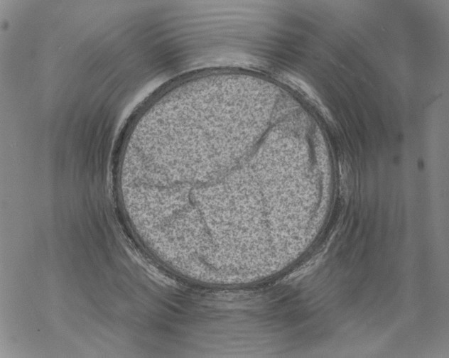 X0000068280780200605191852