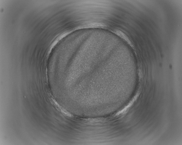 X0000068280781200605191852