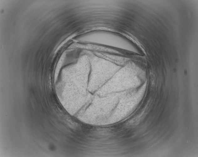 X0000068280782200605191852