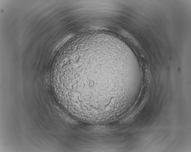 X0000068280785200605191852