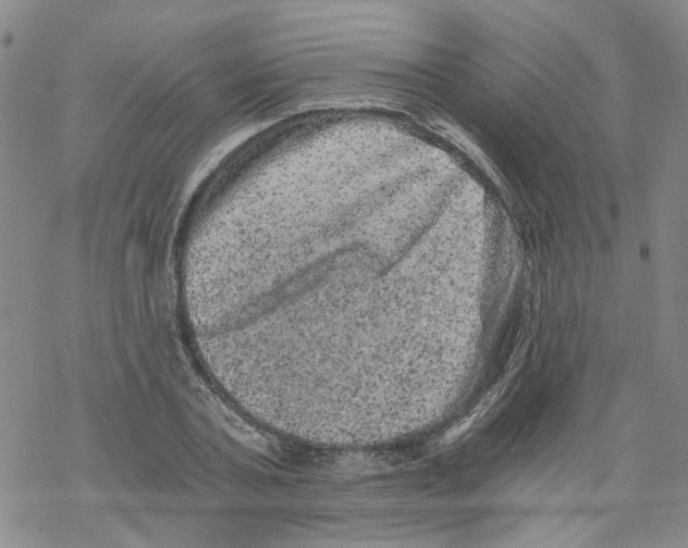 X0000068280787200605191852