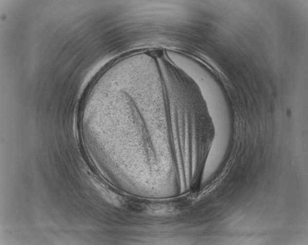 X0000068280788200605191852