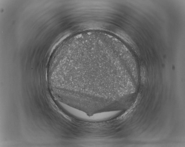 X0000068280790200605191852