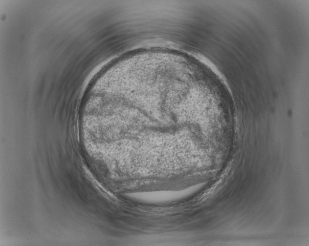 X0000068280791200605191852