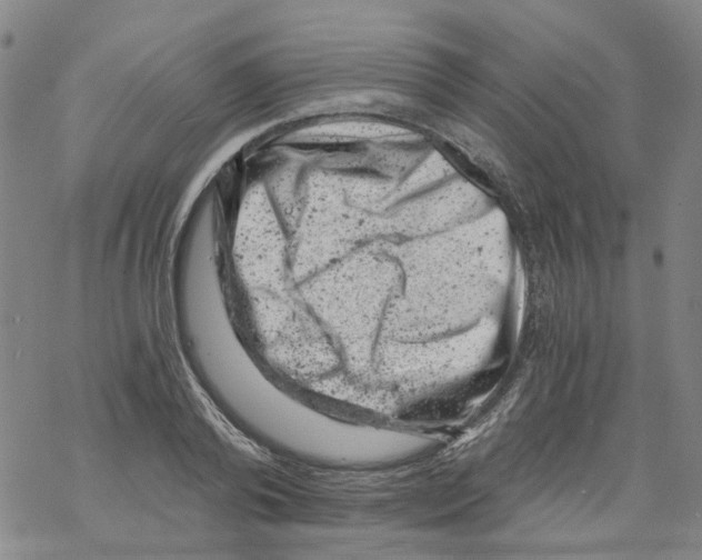 X0000068280792200605191852