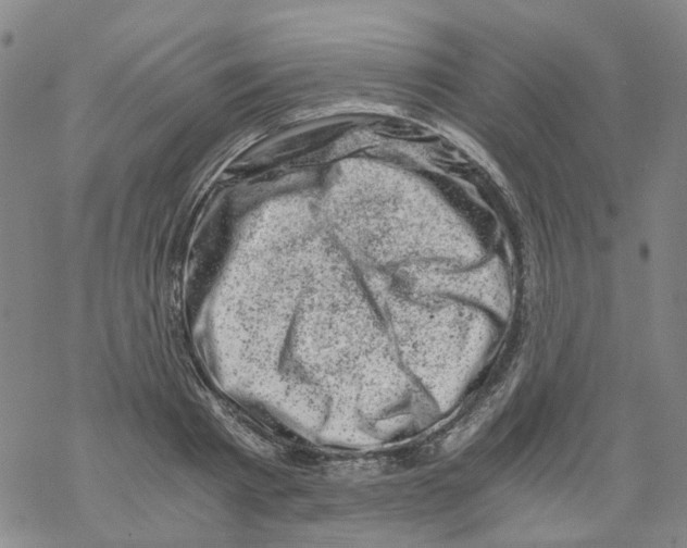 X0000068280793200605191852