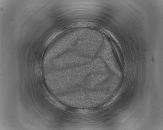 X0000068280794200605191852