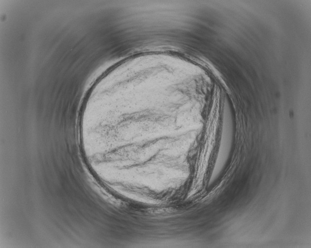 X0000068280795200605191852