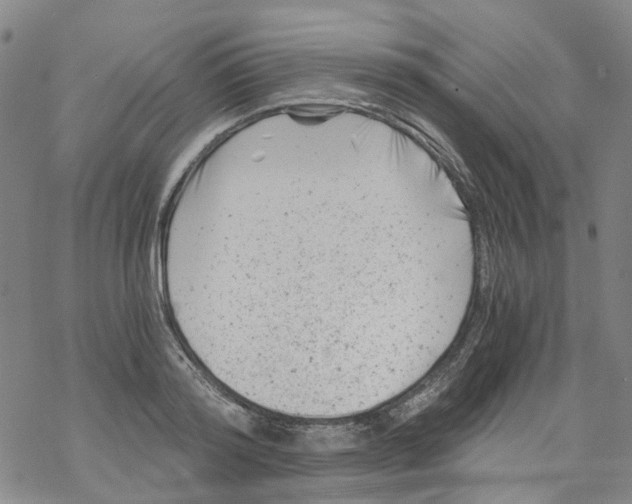 X0000068280796200605191852