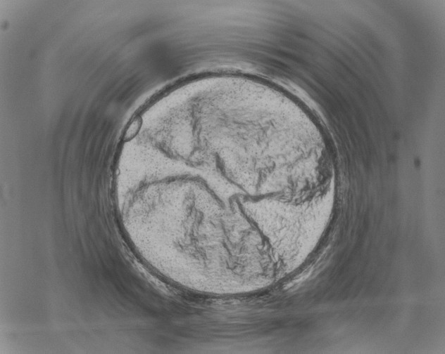 X0000068280799200605191852