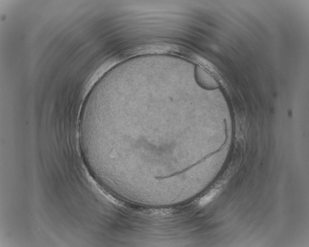 X0000068280802200605191852