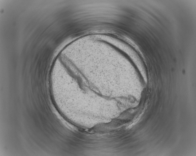 X0000068280803200605191852