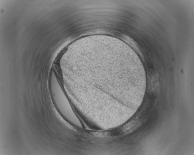 X0000068280805200605191852