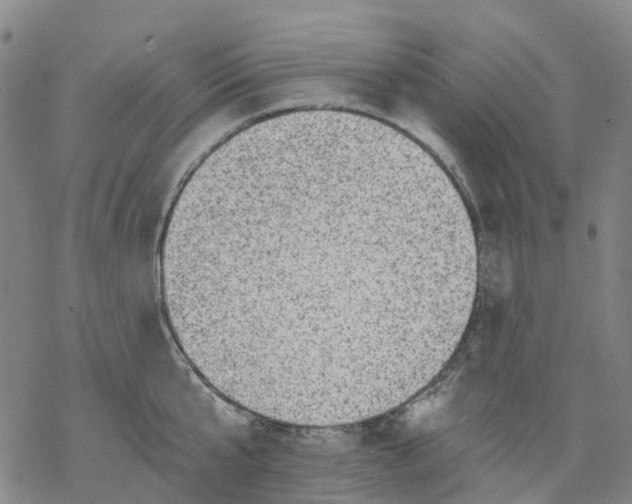 X0000068280807200605191852