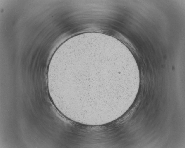 X0000068280808200605191852