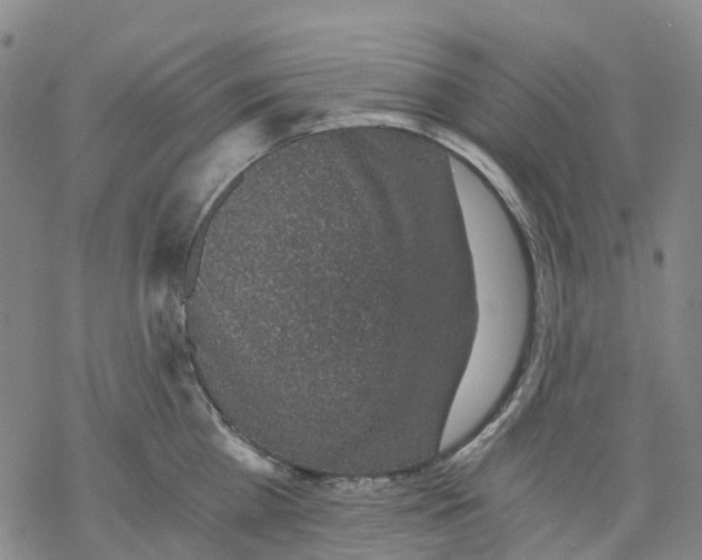 X0000068280809200605191852