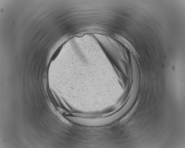 X0000068280812200605191852