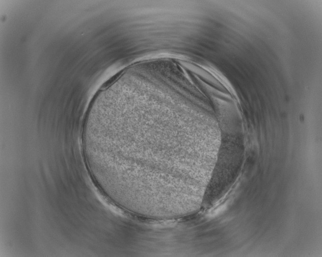 X0000068280813200605191852